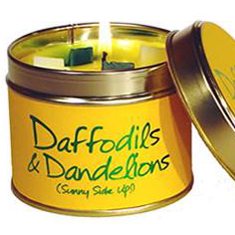 Daffodils &amp; Dandelions