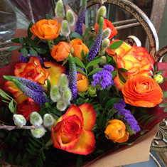 Orange and Purple Delight