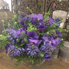 Rollover Spring Hoven