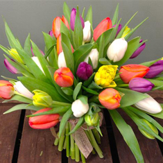 The Colour of Spring