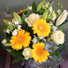 You're So Ditzy Dotty!