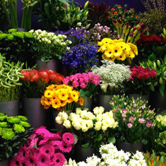 A Year's Supply of Flowers